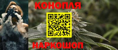 Альфа ПВП Новодвинск