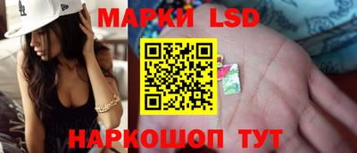 Альфа ПВП Новодвинск